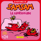 SamSam 15 : La Samrigolade