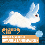 Romain le lapin magicien - Les Drôles de Petites Bêtes