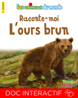 Raconte-moi l'ours brun