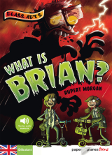 What is Brian ? - Ebook