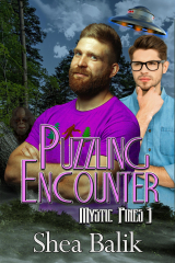Puzzling Encounter