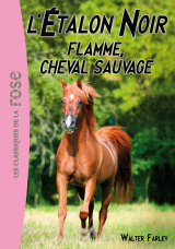 L'Étalon Noir 10 - Flamme, cheval sauvage