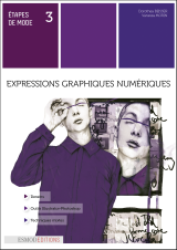 Expressions graphiques numériques