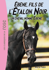 L'Étalon Noir 22 - Un cheval nommé Ébène